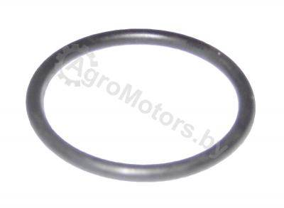 Кольцо ТНВД ORIGINAL DEUTZ  01319139 Вид 1