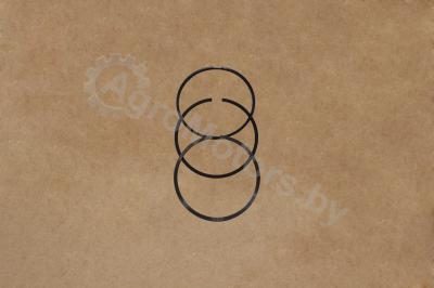 Ring Set, Single Cylinder FP-1830723 Вид 1