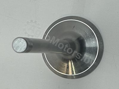 Впускной клапан 04280048 Вид 2