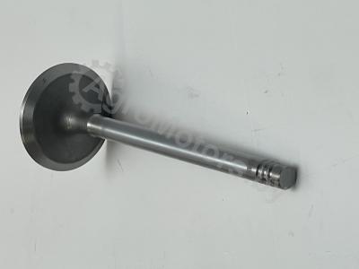 Клапан впускной 04284042 Вид 1
